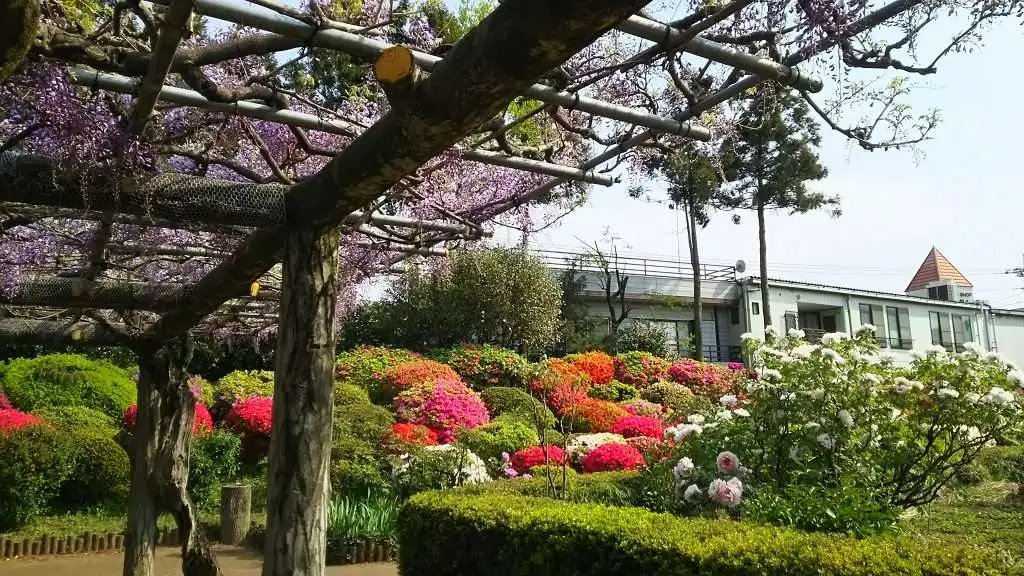 ⛩️ 화살 활 이나리 신사(야큐 이나리 진자) 이미지 5